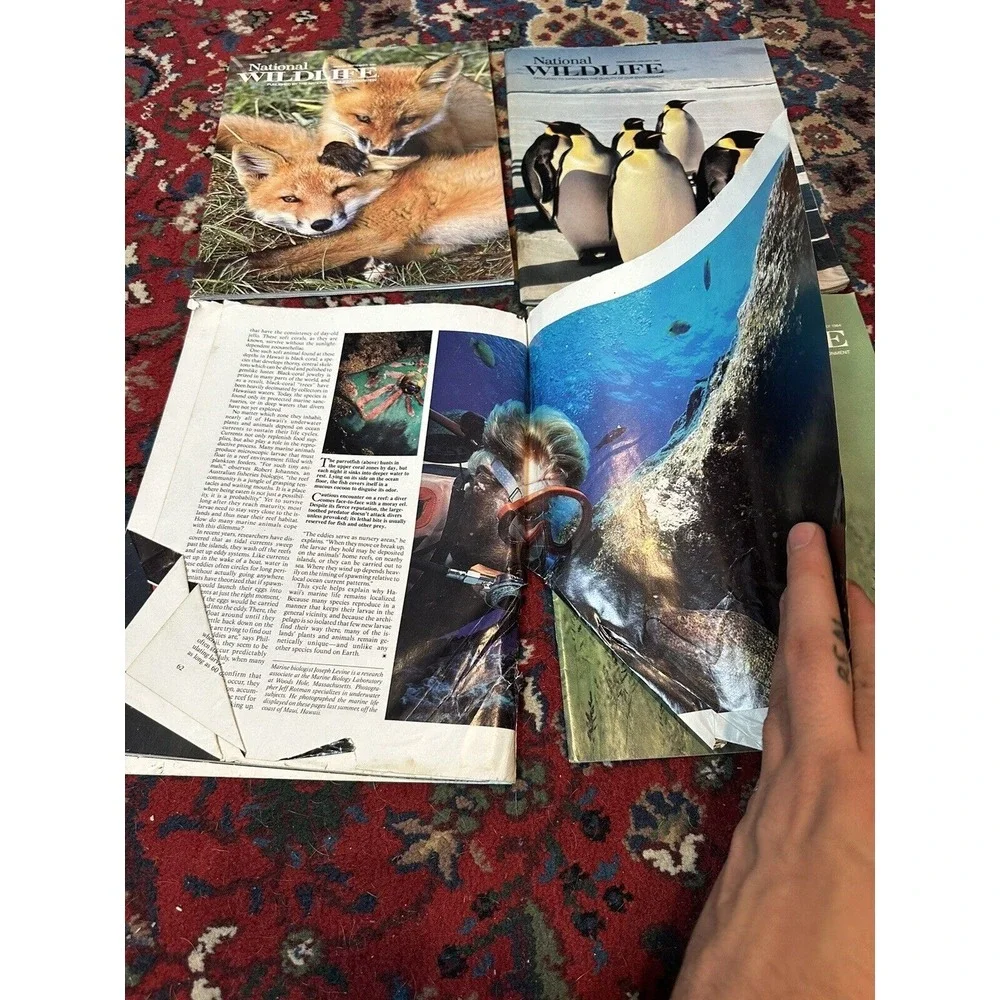 Lot of 4 Vintage National Wildlife Federation Magazines 1984 1985 1990